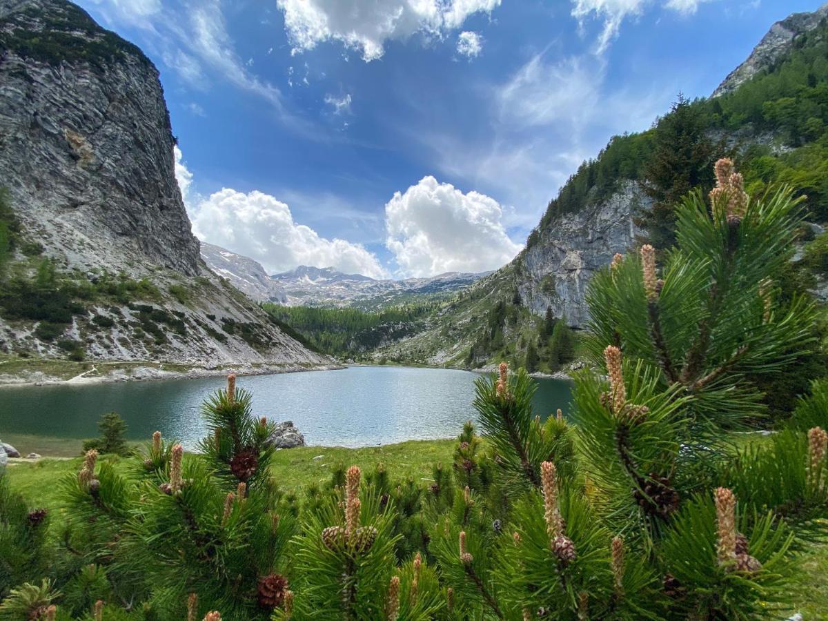 Isonzo Apartment Бовец Екстериор снимка